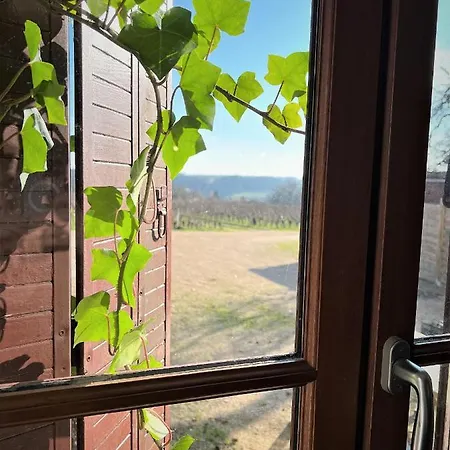 Studio Vigneron, 3Min Du Zoo Saint-Aignan  Exterior foto
