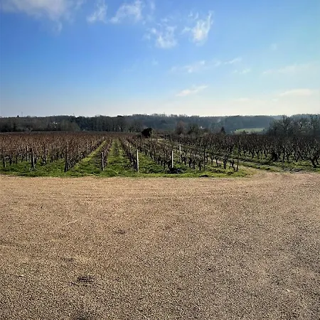 Studio Vigneron, 3Min Du Zoo Saint-Aignan  Exterior foto